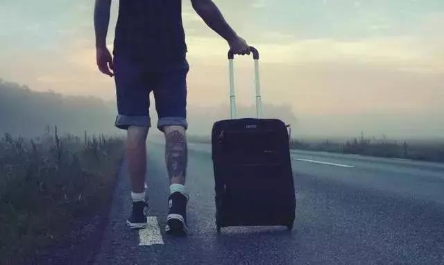 学历没用?难道没学历就有用?